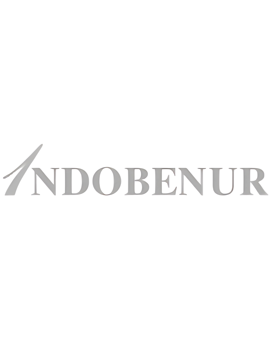 PT INDOBENUR